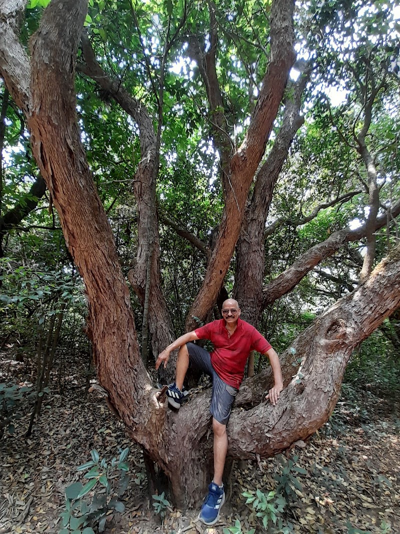Ajinkya Retreat 4