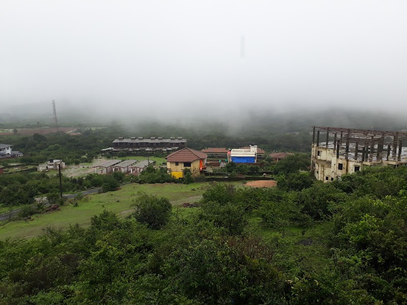 The Bison Resort 3