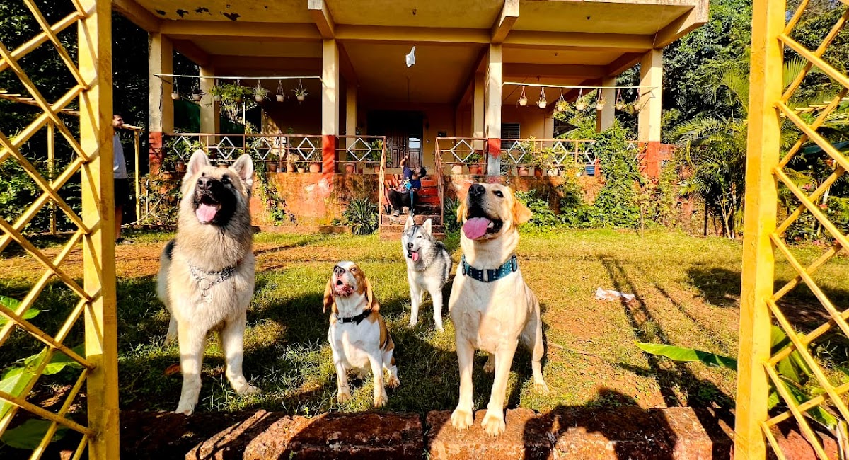 Varshavan Nature Villa 5