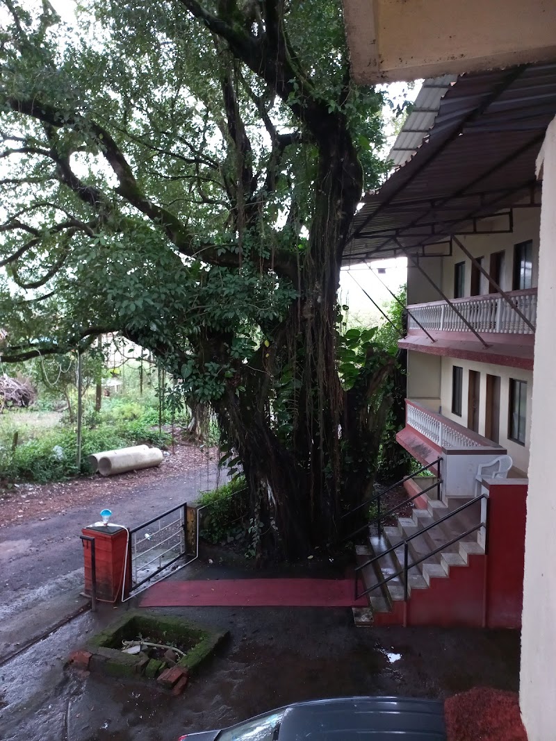 Hotel Green Palace