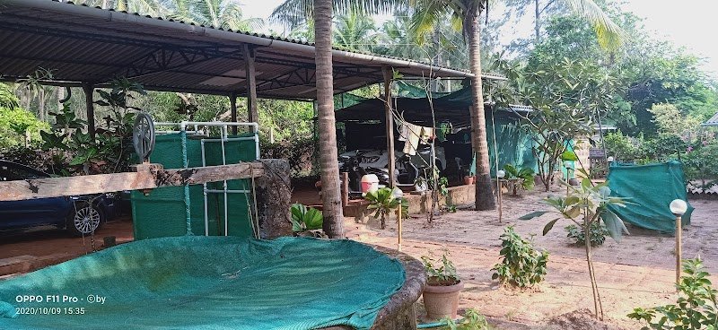 Mermaid Beach Resort 3