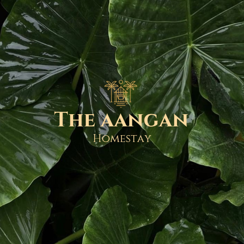 Aangan. Homestay 5