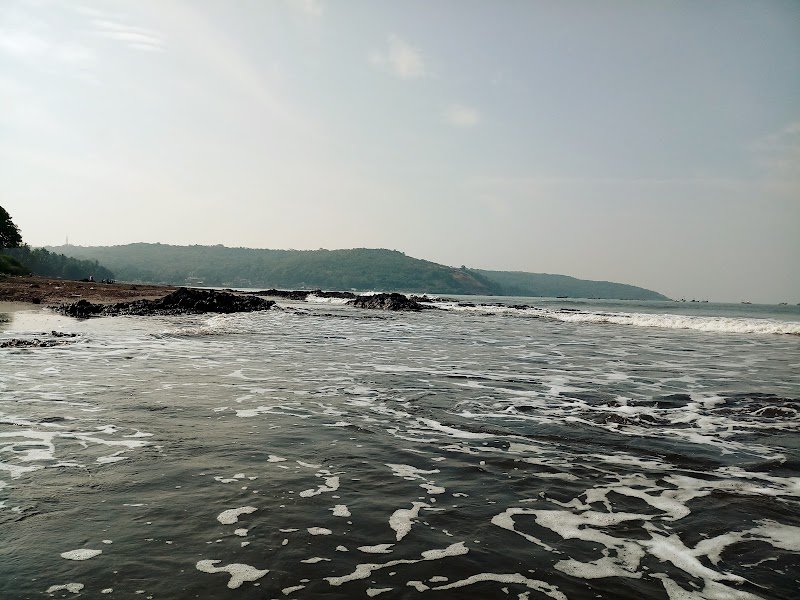Chaitanya Srushti Agro-Health Resort 4
