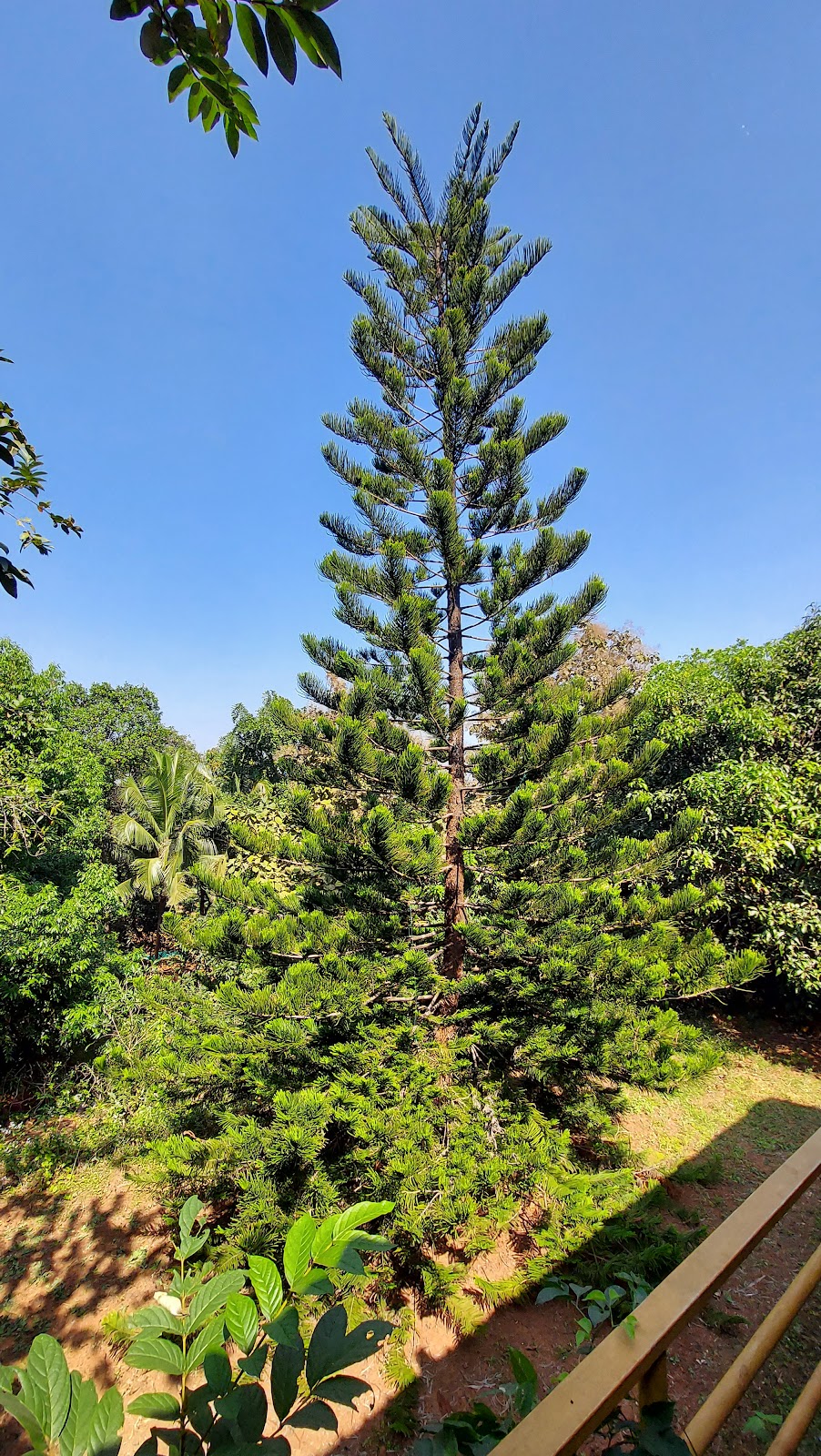 Amrutes' Nisarga Sahavas 2