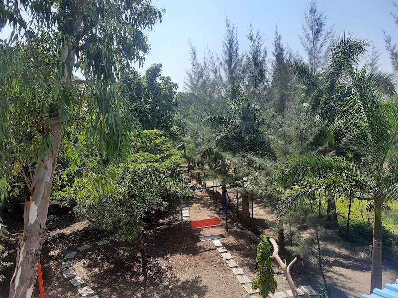 Ecowoods Farmstay 5