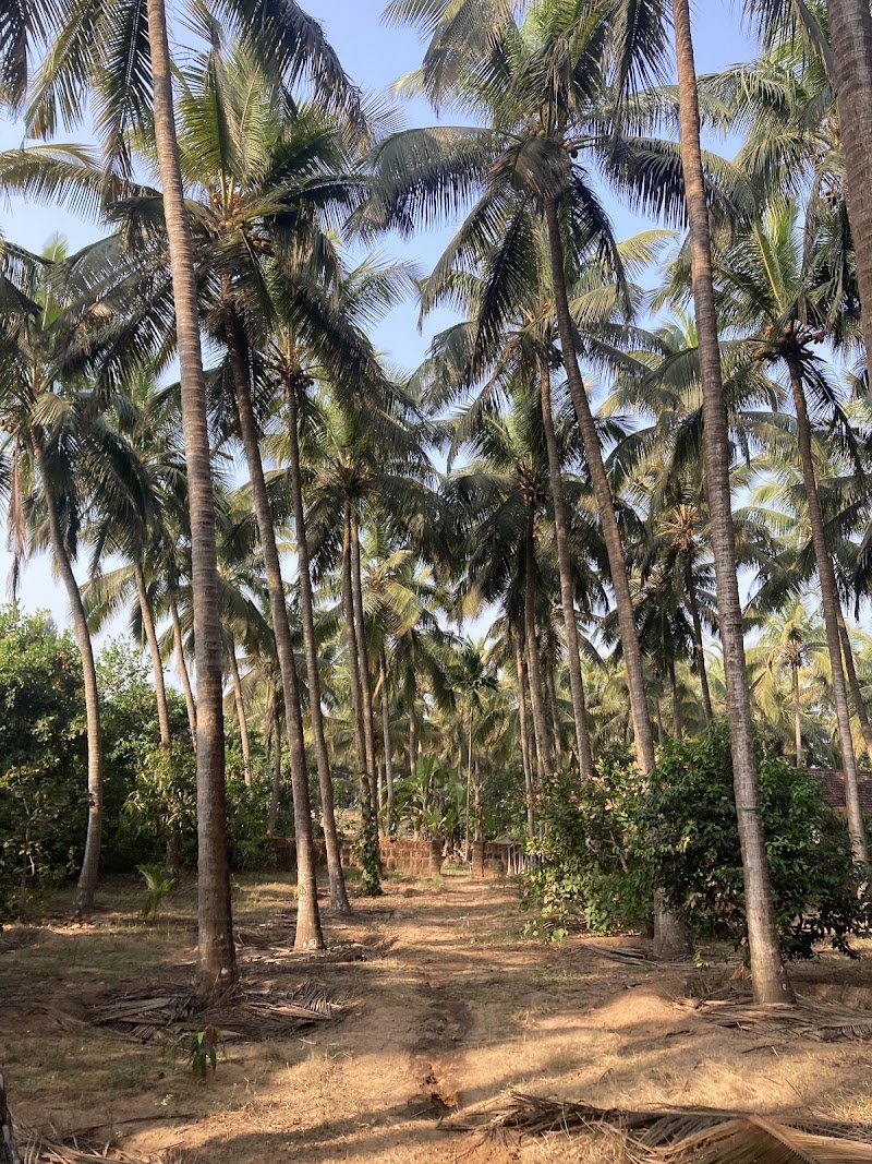 Sneh Seafacing Camping 3