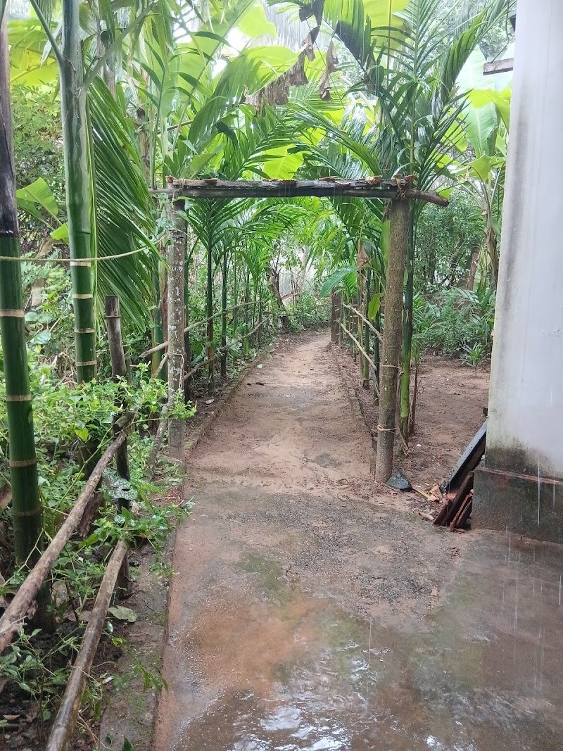 Bhadrakali Homestay 3